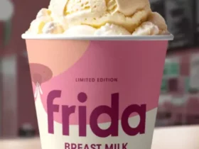 Frida America's Latest Craze: Breast Milk Ice Cream